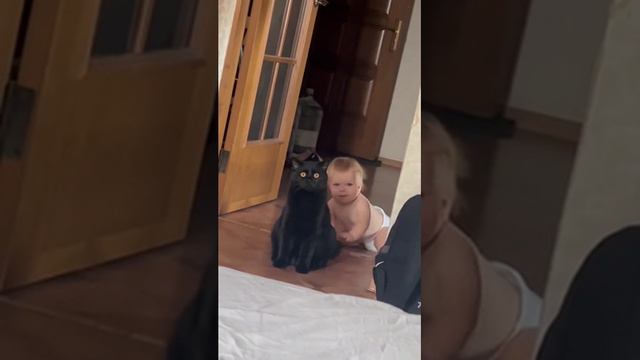 Пушистый нянь🐱 смотреть онлайн