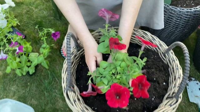 Цветочные композиции в КАШПО?