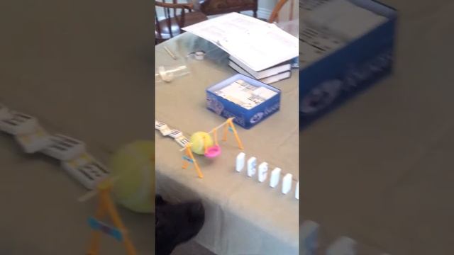 Marin rube Goldberg machine 4 смотреть онлайн