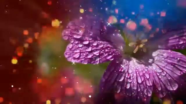 https://m.ok.ru/video/465882843783 смотреть онлайн