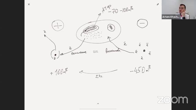 Vione смотреть онлайн