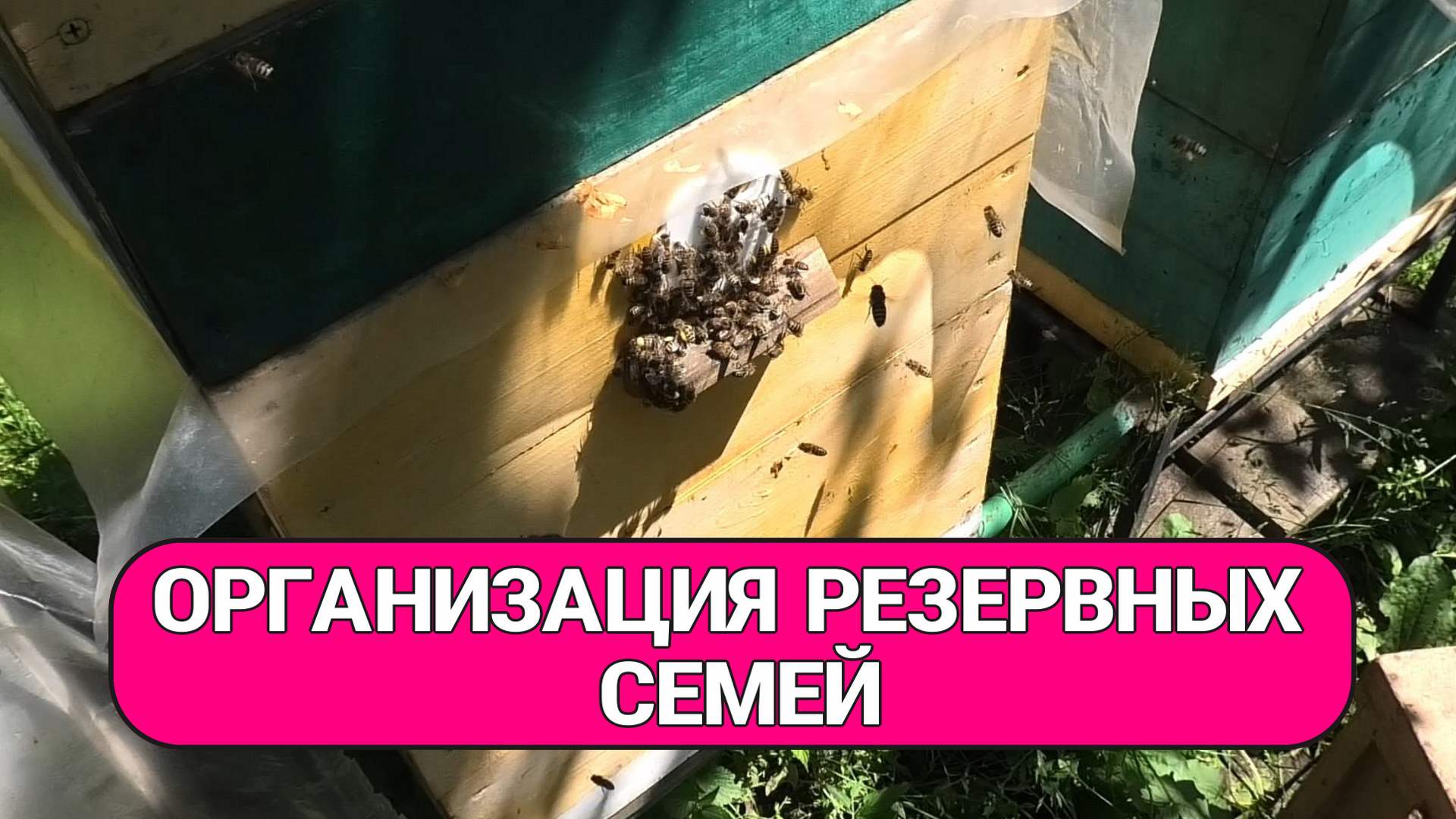 СОХРАНИ СТАРУЮ МАТКУ ДЛЯ РЕЗЕРВА_converted смотреть онлайн