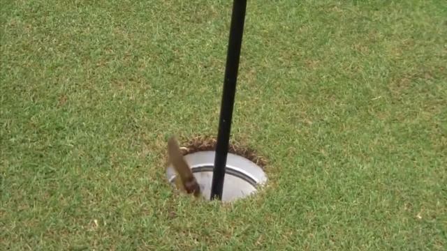 Brent Chapman Team Lazer Trokar Flip смотреть онлайн