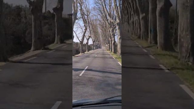 Едем дальше! смотреть онлайн