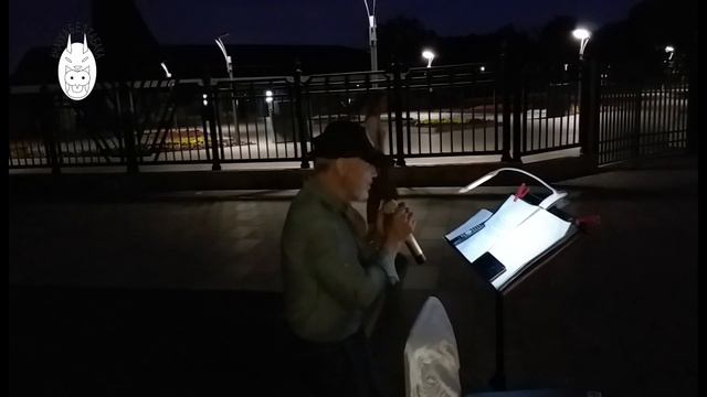 Певец на ВДНХ поёт песню Поворот смотреть онлайн