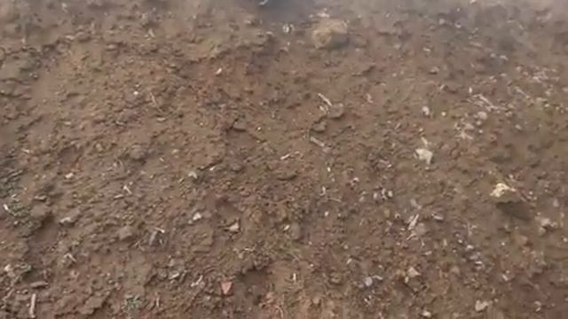 Едем по горному хребту,нет возможности на ошибку,RC смотреть онлайн