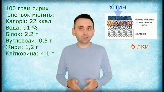 опеньки смотреть онлайн
