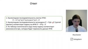 Задачи на синтез белка | Штрих концы и антипараллельность | 28 задание ЕГЭ по биологии