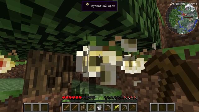 FORGOT TO TURN OFF THE IRON #3 BACHELOR Minecraft смотреть онлайн