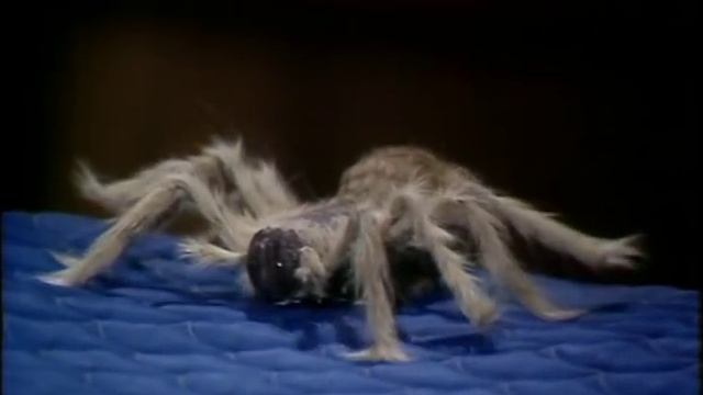 Love Thy Neighbour 2 Bananas Broadcast 18 February 1974 смотреть онлайн