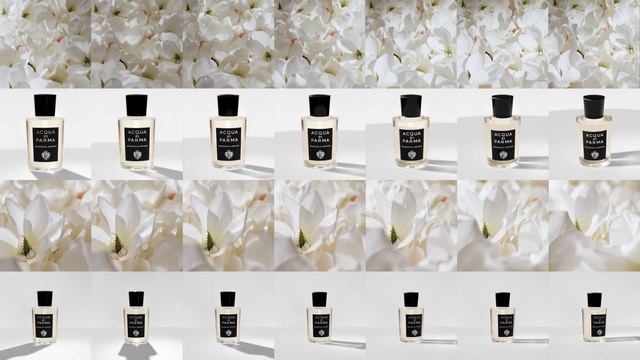 Magnolia Infinita | Acqua di Parma смотреть онлайн