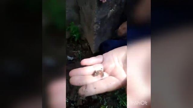 Полезный карантин.Учим детей к труду смотреть онлайн