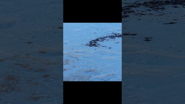 Второй день рыбалки