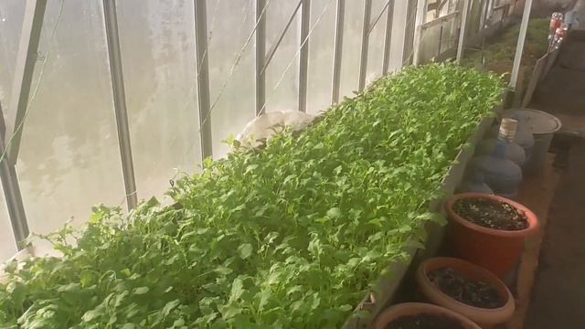 Октябрь #11 смотреть онлайн