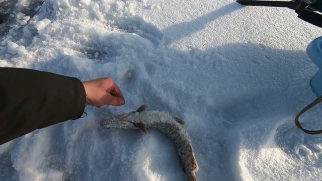 Первый лёд 2023. Рыбалка на карьере. Щука/окунь/коптер смотреть онлайн