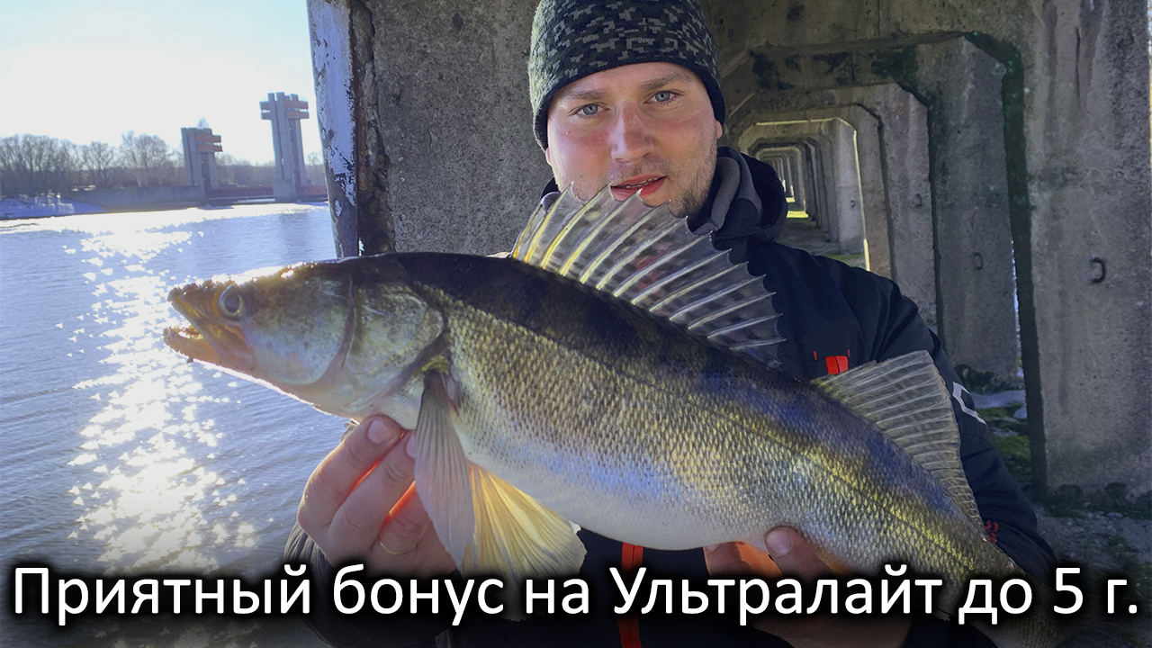 ПОПАЛ НА РАЗДАЧУ! РЫБАЛКА-МЕЧТА! Ловля СУДАКА на СПИННИНГ смотреть онлайн