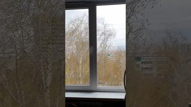 ветер 24 метра в секунду смотреть онлайн