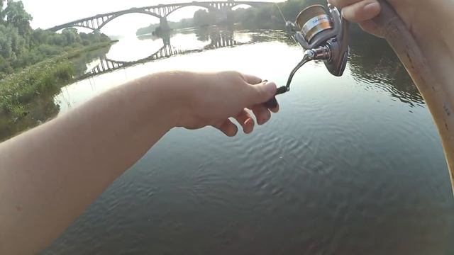 ЖАРКОЕ УТРО (Часть№1) - Ловля ГУСТЕРЫ в проводку! смотреть онлайн