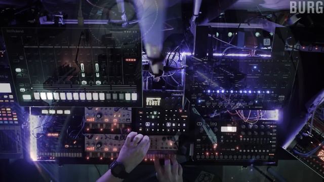 BURG - White Flower Downward #digitakt #AvalonBassline #eurorack #eloquencer смотреть онлайн