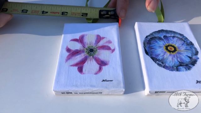 Unboxing the 1818 Farms Seed to Vase Dried Flower Gift Box смотреть онлайн