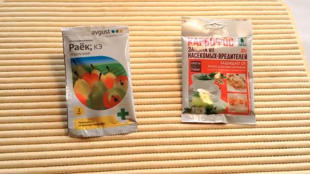 Смородина размером с вишню. Осенние заботы.mp4 смотреть онлайн