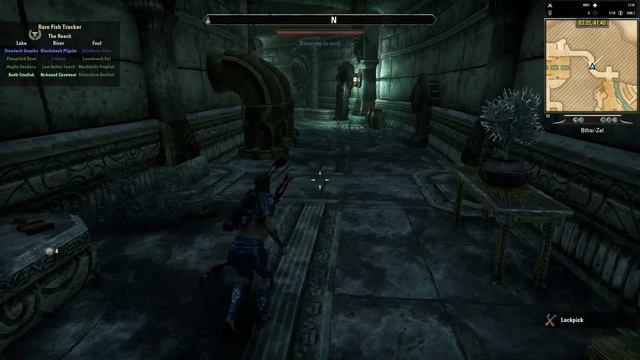 Elder Scrolls Online - Bthar Zel смотреть онлайн