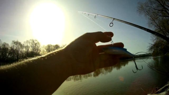 Божье Око на рыбалке \ Ловля Жереха Весной \ #Рыбалка #ЛовляЖереха #ЛовляЖерехаВесной смотреть онлайн