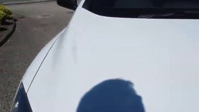 DealerPX com Renault Megane Sport 250 Petrol Manual смотреть онлайн