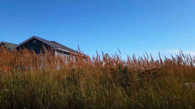 ЛУНА И ТАЙНЫ НАШЕЙ СУДЬБЫ. ЛУННЫЙ РАК. Часть 10 смотреть онлайн