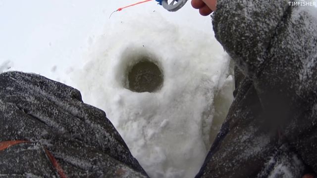 ОКУНЬ И ПЛОТВА ЖРУТ эту БЕЗМОТЫЛКУ ОДИН ЗА ОДНИМ.., ПОШЛА ЖАРА...Зимняя рыбалка 2022.Ловля окуня. смотреть онлайн