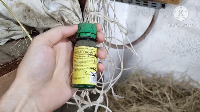? Сарай для быков, что изменилось за год?! ? смотреть онлайн