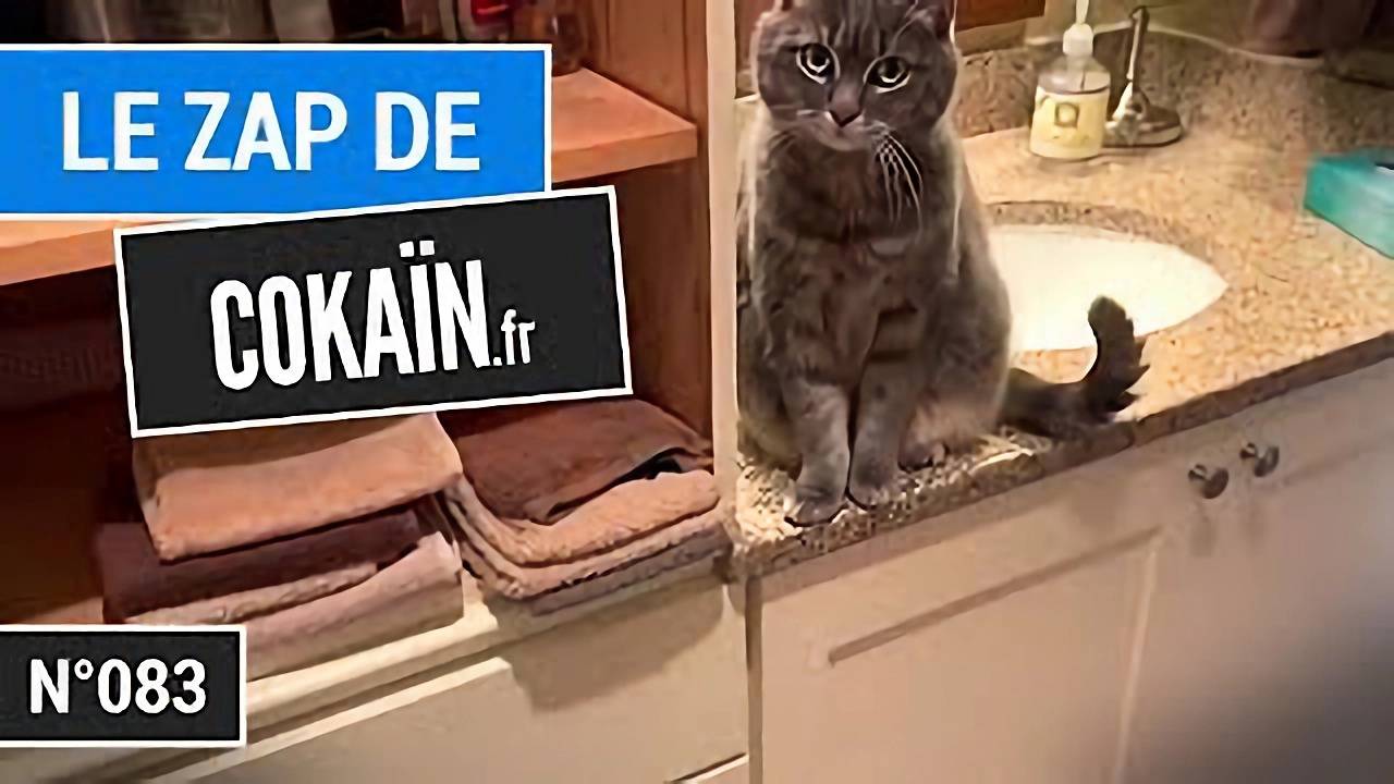 Le Zap De Cokaïn.fr N°083