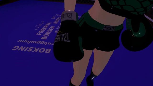 Emerald Enligtenment🍀 VRchat POV BOXING