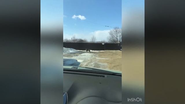 Про деревню. Пеку блины. смотреть онлайн