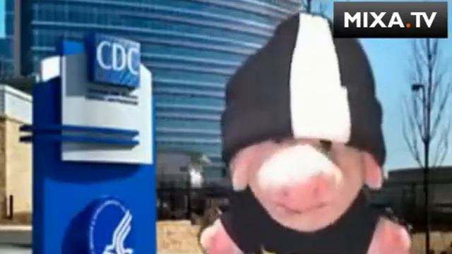 Песня Свиной Грипп - Swine Flu Song