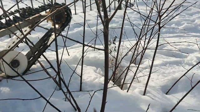 Самодельный мотобуксировщик, тест с большим грузом. смотреть онлайн