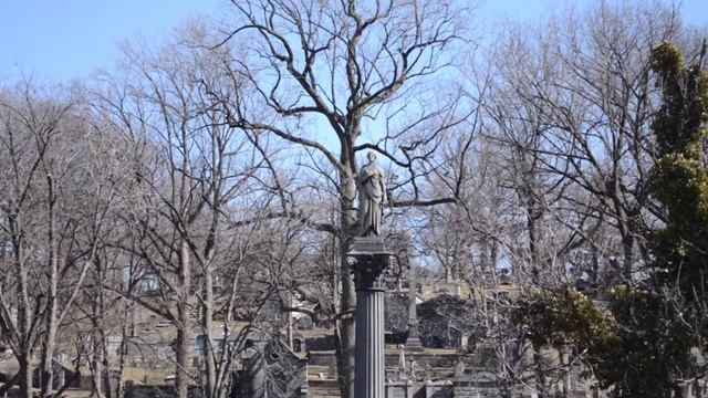 SHOOTING FILM WITH NIKON D5100 - Kit Lens 18-55 смотреть онлайн