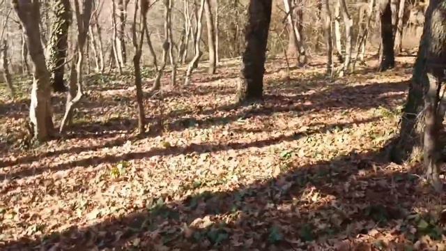 Земельный участок в с Дивноморское смотреть онлайн