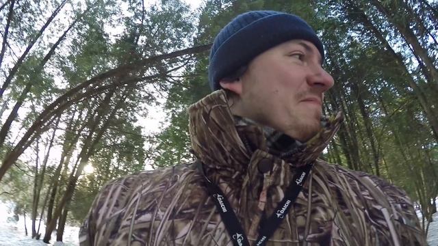 Зарянка зимой: чем кормить? смотреть онлайн