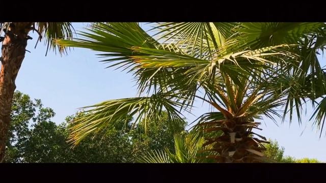 FujiFilm X-E4 Cinematic 4K Video смотреть онлайн