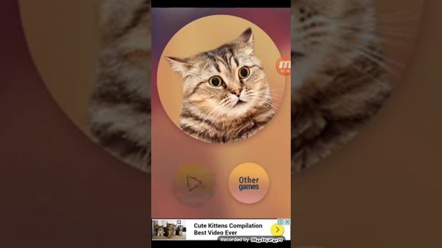 Приложение кошачий переводчик