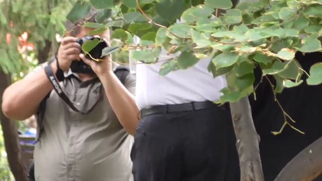 Sony A99 смотреть онлайн
