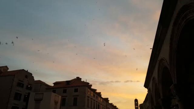 Dubrovnik οδός Stradun смотреть онлайн