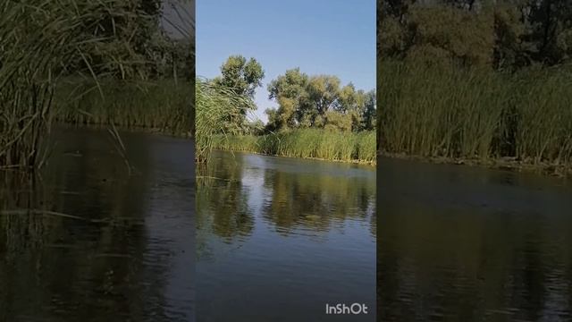 Природа🌳🌴🌱🌿☘️ Отдых Путешествия🙂🙃😊😇