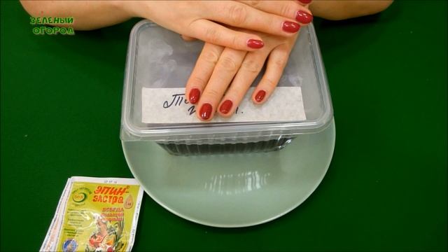 ЗАМАЧИВАНИЕ СЕМЯН ТОМАТОВ. ТРИ проверенных способа! Советы от Зеленого Огорода. смотреть онлайн