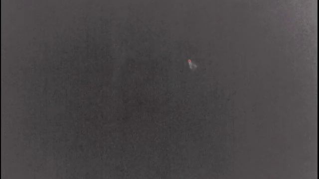 Рябчик самец в тепловизор, PULSAR HELION XQ38F расстояние около 50 метров. смотреть онлайн