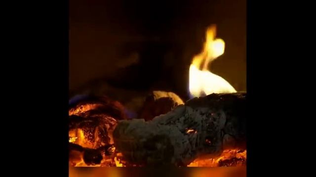 Мистические истории (озвучка) #мистика  #историиизжизни #страшныеистории #историинаночь #371