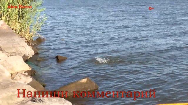 Султан ловит крупного Леща на Самаркандском водохранилище смотреть онлайн