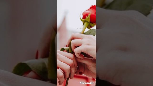 DAN BALAN .-Люби смотреть онлайн