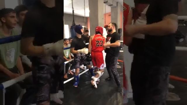 5 ноября 2023 г. смотреть онлайн